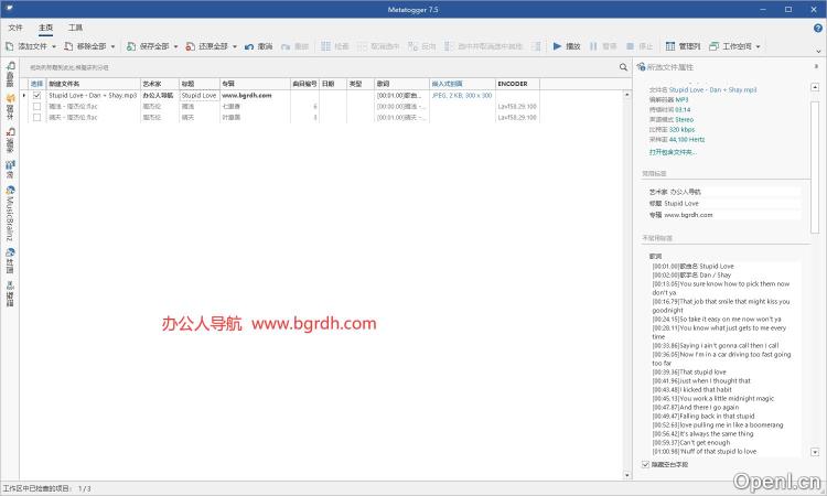 Metatogger插图 Metatogger