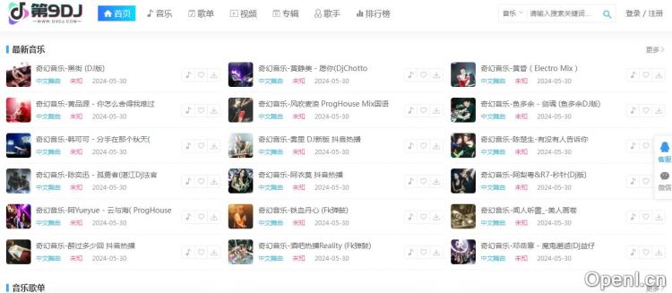 第9DJ音乐网插图 第9DJ音乐网