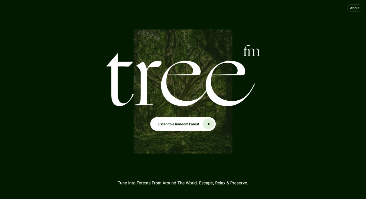 森林电台Tree.fm(图1) 森林电台Tree.FM