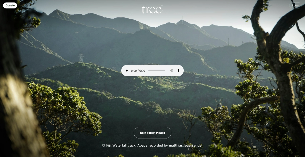 森林电台使用方法 森林电台Tree.FM