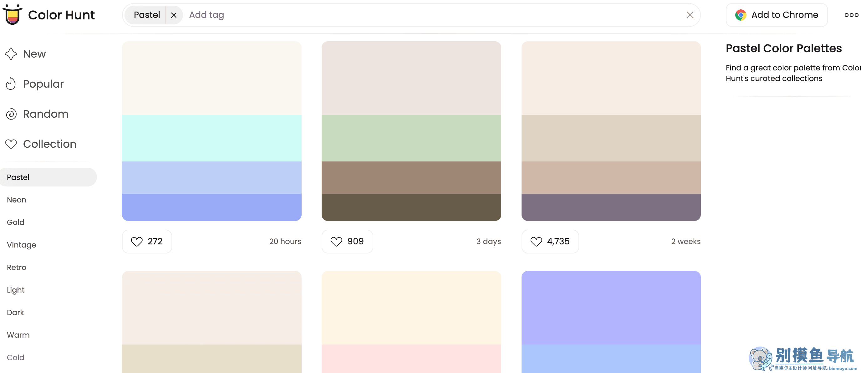 color hunt