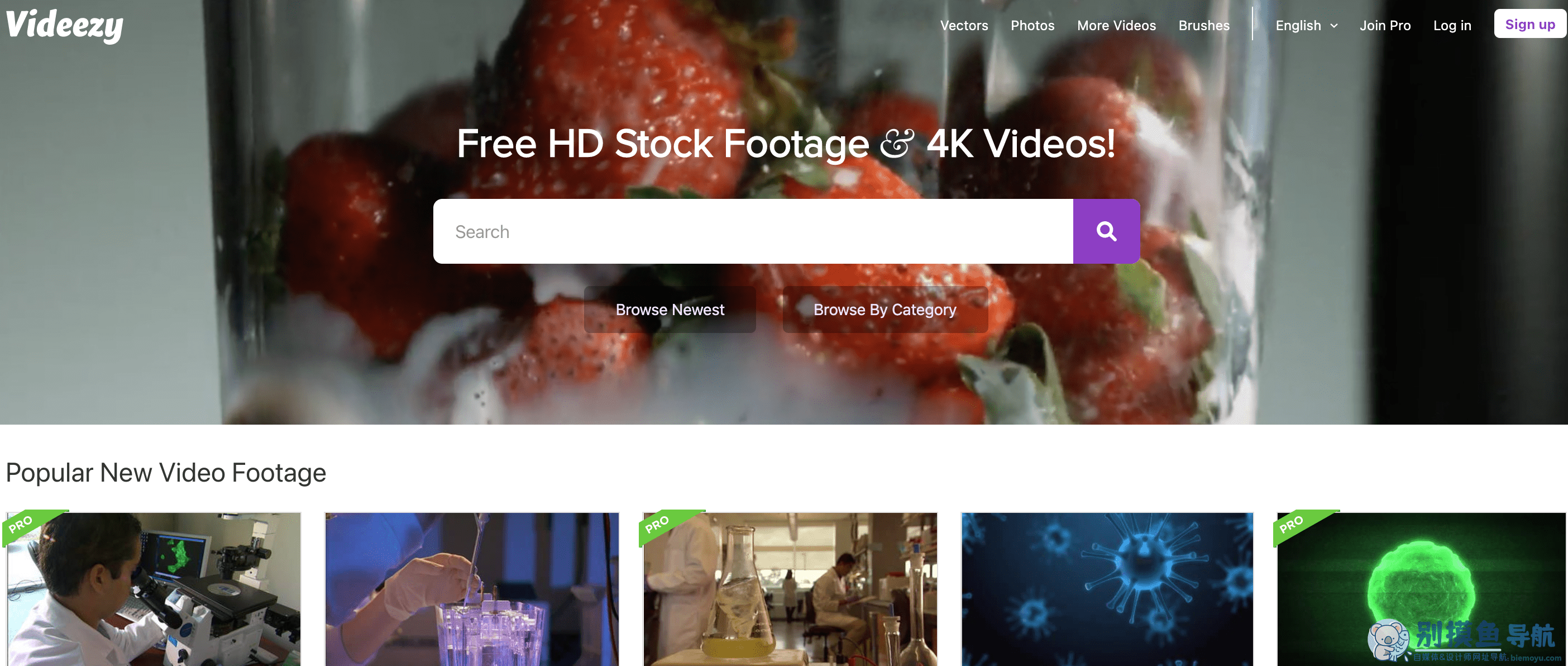 videezy