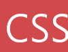 csswinner