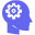 Imaginary Programming