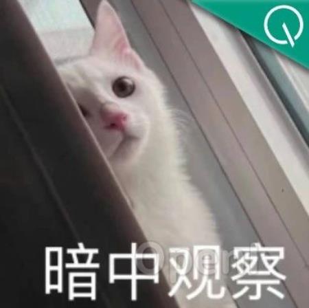 中科大南大跻身世界TOP100，川大冲进内地前10，THE最新世界大学排名出炉