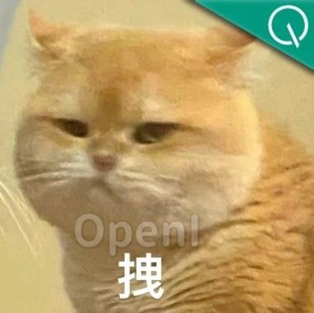 10人俩月搞出大模型！一年16篇顶会论文加持：市面上做得好的都没有开源