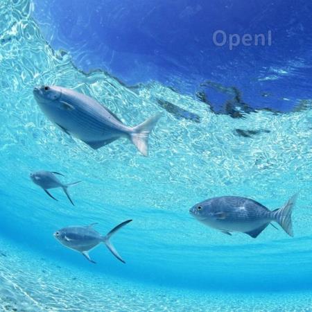 涉水视觉:从关键技术到智能装备