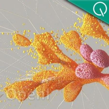 谷歌DeepMind再登Science：用AI预测基因突变致病性，PK人类专家=89：0.1 | 开源