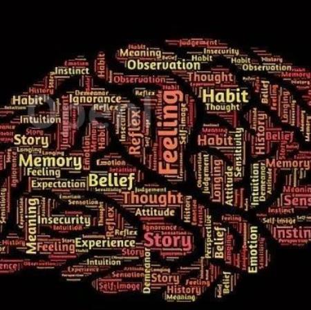 IIT vs GNWT:意识理论对比检验