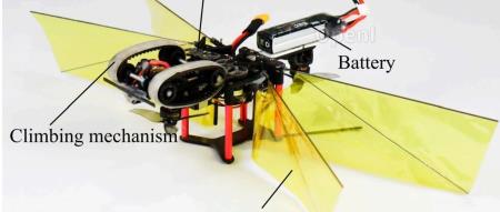 南航机器昆虫最新飞行特技!在壁面上着落与起飞,无缝衔接超丝滑