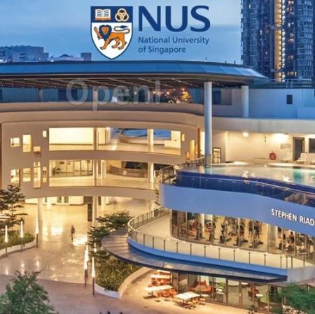 新加坡 NUS 金玥明老师课题组招收 AI/Healthcare 方向全奖博士生/博士后/科研助理