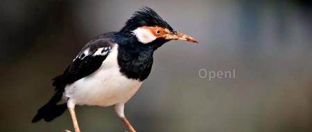 谷歌云推出 AlloyDB AI:用先进的向量嵌入和 AI 改造 PostgreSQL