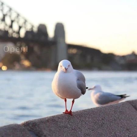 全面拥抱大模型!腾讯正式开放全自研通用大模型:参数规模超千亿、预训练语料超 2 万亿 tokens