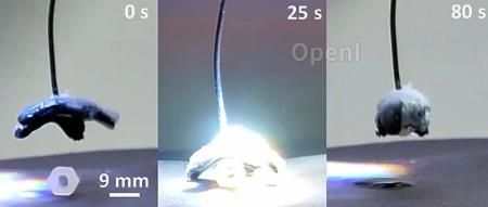 ​基尔大学研发水凝胶新材料，形似人类肌肉，可实现短时间内受控方式扩张与收缩