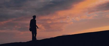 计算资源分配不公引发内斗!LLaMA核心作者流失大半,Meta AI联合主管也已离职