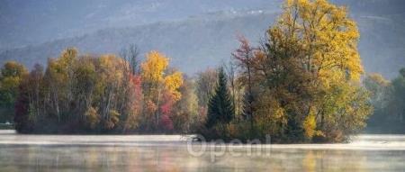 从Snowflake迁移到Databricks,成本下降50%?Snowflake被迫解释