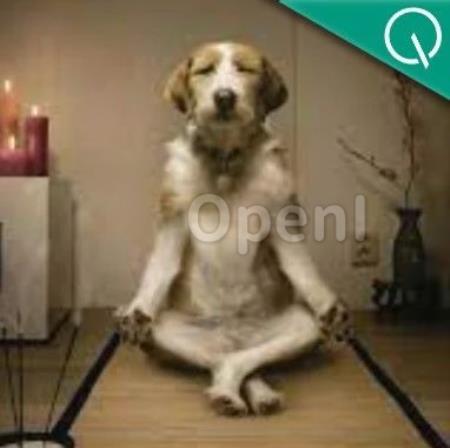 大模型靠“深呼吸”数学再涨8分!谷歌DeepMind发现AI自己设计提示词效果胜人类