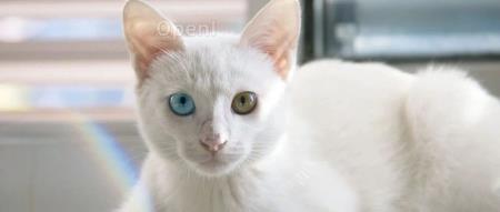 比 Spark 快 9 倍,超越 ClickHouse,在大语言模型时代构建全新数据平台