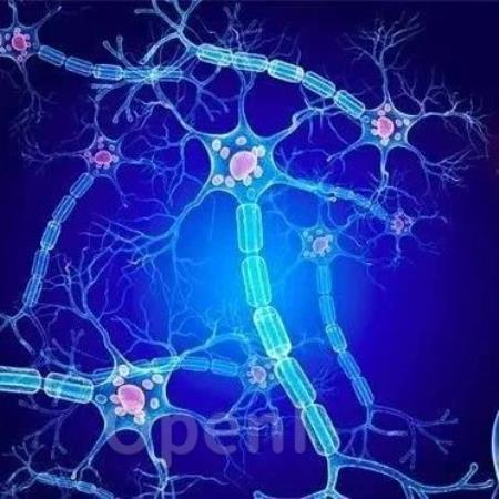 大脑中复杂适应动力学的神经调节控制