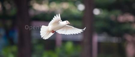 首届 FCon 全球金融科技大会正式起航，让金融数字化少走弯路