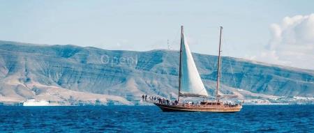 AI 浪潮让这个加勒比小岛 GDP 增加了 10%