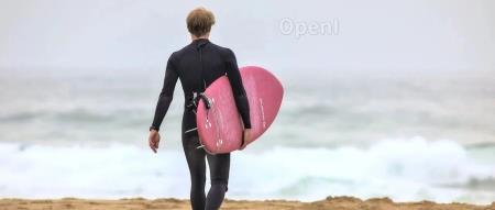 国外 20 家大型科技公司薪资揭秘