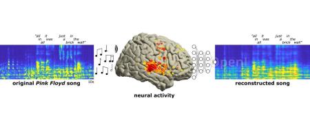 UC伯克利脑机接口新突破!利用脑电波即可复现歌曲,语言障碍者有福了?