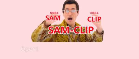 视觉霸主SAM和文图霸主CLIP强强联合!苹果联合UIUC,发布统一视觉模型SAM-CLIP,或掀起多模态新浪潮