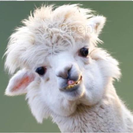 为大模型而生!顶流大佬发起成立学术会议 COLM,或成为未来 NLP 最强顶会?!