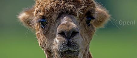 “小度之父”景鲲离职,CIO李莹接任小度科技CEO;苹果应用商店惊现黄色软件,已回应;微软或于10月13日收购暴雪|AI一周资讯