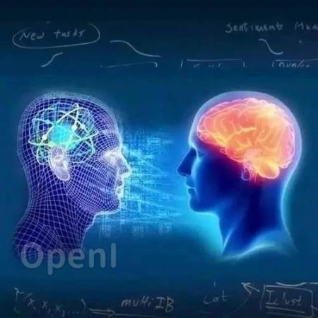 人类的强化学习与机器的不同