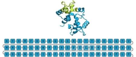 利用进化扩散进行蛋白生成，微软开源新型蛋白质生成AI框架EvoDiff