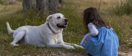 AI 工程化:构建高效 AI 应用的全面指南