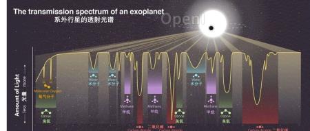 发现一个外星生命总共分几步?