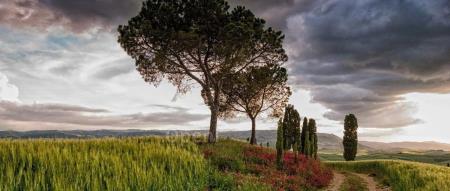 高效能不等于开发快，大模型时代如何正确提升研发效能？