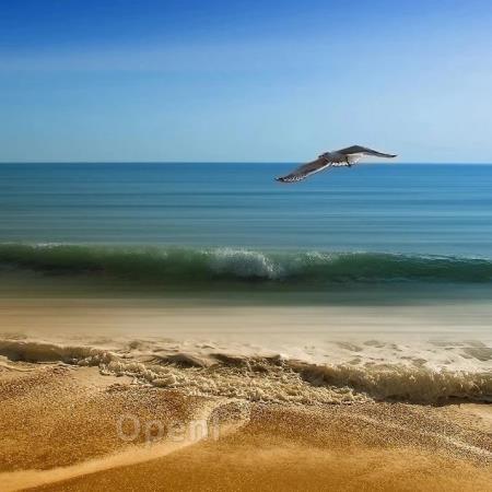 热了快一年了,让我们来聊聊生成式AI落地吧 | 直播预约