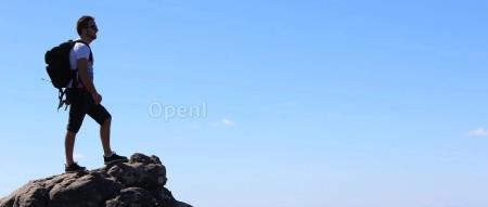 未来的人工智能语言,是 Rust 还是 Mojo ?