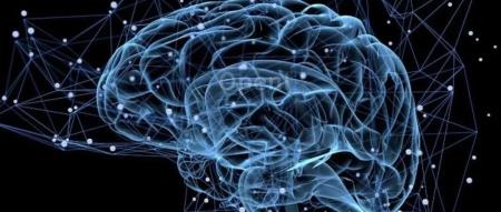 蒲慕明院士:我们为什么要探索人脑的奥秘