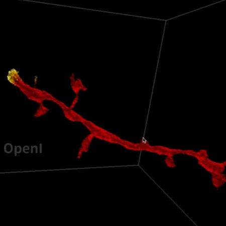 3300万美元，谷歌开启5年脑计划！绘制小鼠大脑2-3%图谱，大约一个珠穆朗玛峰的数据量