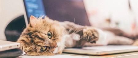 一小时12元，我在北欧监狱里训练AI