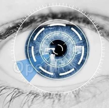 Cell重要突破:构建了一个眼睛“衰老时钟”,首次确定了眼睛的分子年龄