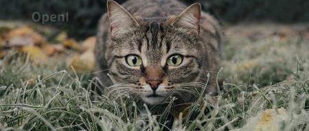 华为中秋节给员工发Mate60手机;商汤科技回应原知产总监被立案侦查;马斯克平均年终奖33亿元 | AI一周资讯