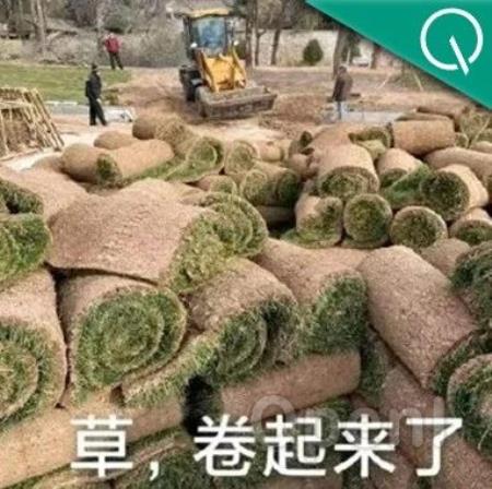 Transformer一作来卷多模态!学术图表也能看懂,100毫秒极速响应|免费试玩