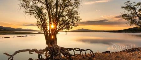 开发成本降至5%!OpenAI计划推出新功能吸引开发者,也稳住用他们模型亏损的“大冤种”客户