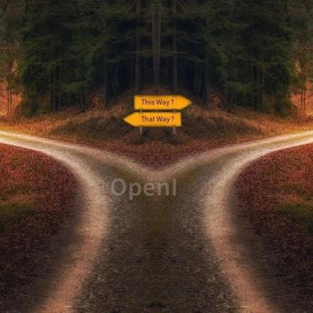 做决策想要平衡直觉和理性?你的大脑可能已经替你决定了