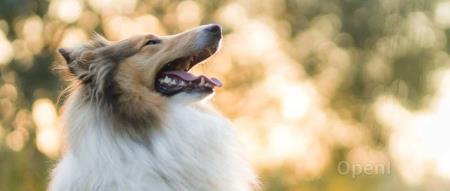 美的供应商回应员工自愿放弃公积金;23岁斯坦福博士生修复火狐浏览器22年陈旧bug;高通拟在加州裁逾1200人|AI一周资讯