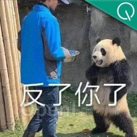 GPT-4变笨加剧,被曝缓存历史回复:一个笑话讲八百遍,让换新的也不听