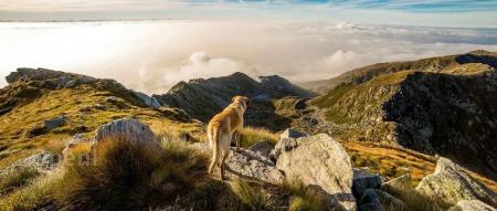 字节宣布除夕放假、不占年假;印度“IT之父”要求年轻人每周工作70小时;Redis创始人用C语言写出最小聊天服务器|AI一周资讯