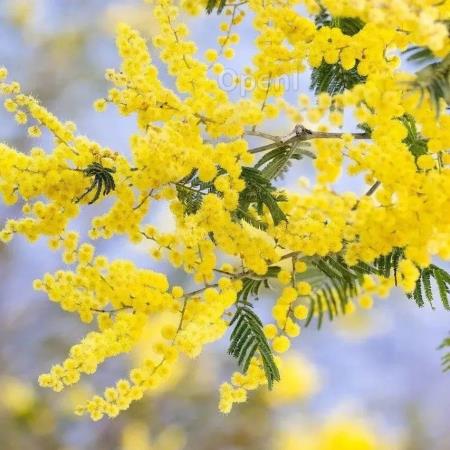 GitHub年度报告曝光:生成式AI项目暴涨2倍,个人贡献者激增148%,从趋势看机遇何在?