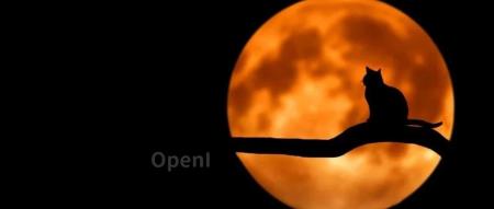 GPTs一夜冲上热搜!OpenAI让不会编程的人也可以靠开发赚钱了